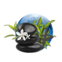 Parfum De Spa à Base D'huiles Essentielles Orient 250 Ml -Fournitures De Piscine parfum spa huiles essentielles orient camylle 250 ml 2