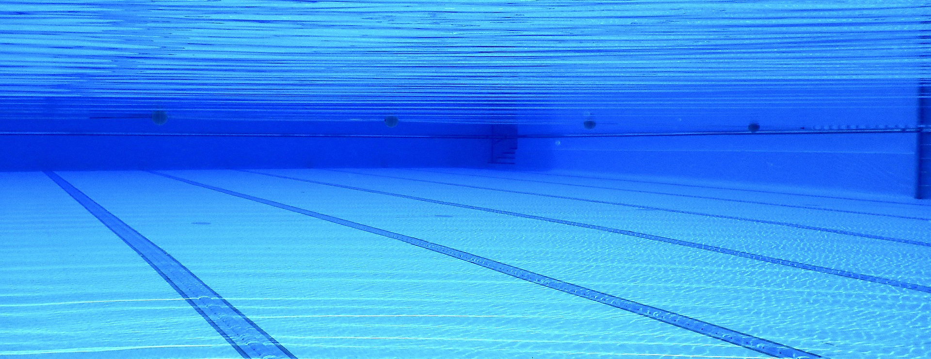 Fournitures De Piscine 3 Fournitures De Piscine -Fournitures De Piscine swimming pool 504780 1920